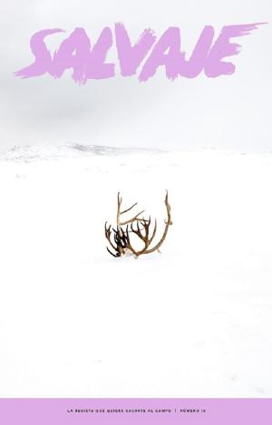 REVISTA SALVAJE 15