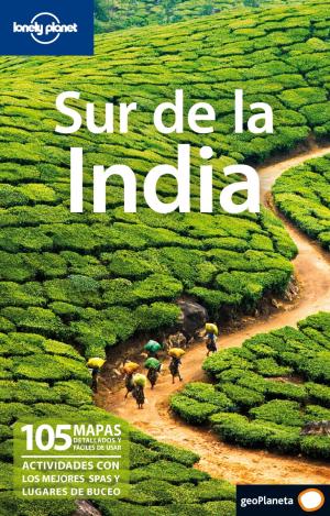 SUR DE LA INDIA 1