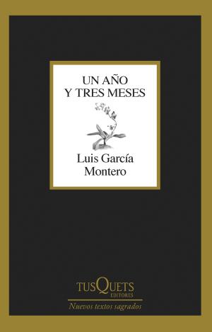 UN AÑO Y TRES MESES