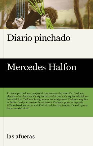 DIARIO PINCHADO