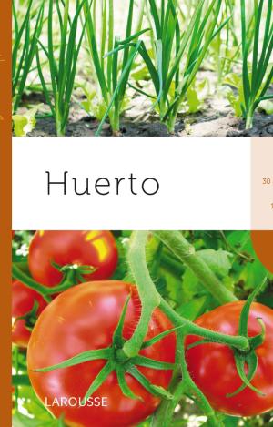 HUERTO