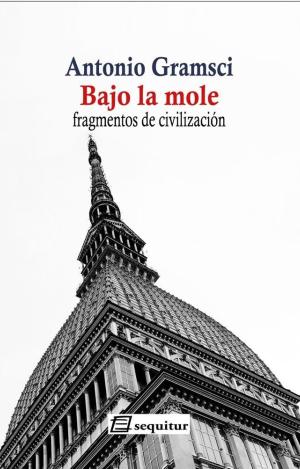 BAJO LA MOLE - NE