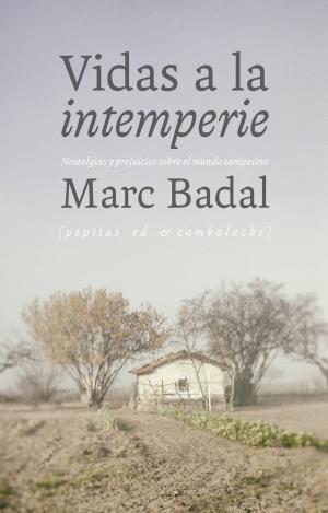 VIDAS A LA INTEMPERIE