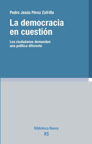 LA DEMOCRACIA EN CUESTIÓN