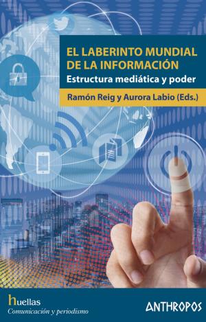 EL LABERINTO MUNDIAL DE LA INFORMACIÓN