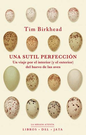 UNA SUTIL PERFECCIÓN