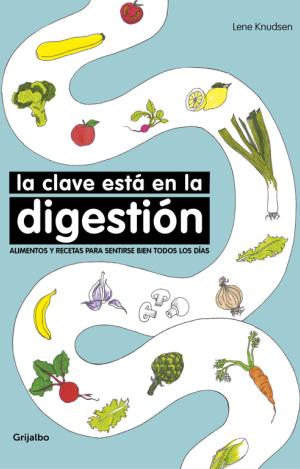LA CLAVE ESTÁ EN LA DIGESTIÓN
