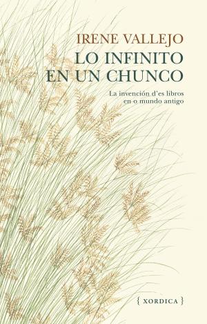 LO INFINITO EN UN CHUNCO
