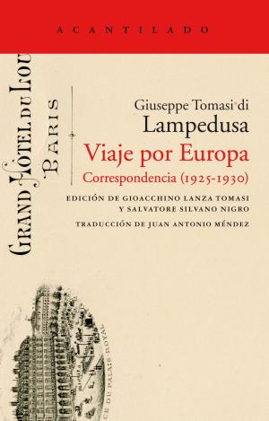 VIAJE POR EUROPA
