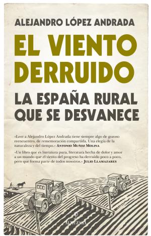 EL VIENTO DERRUIDO