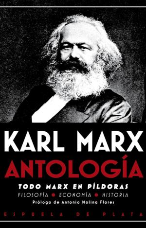 ANTOLOGÍA. TODO MARX EN PÍLDORAS