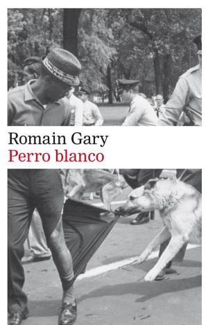 PERRO BLANCO