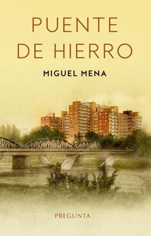 PUENTE DE HIERRO