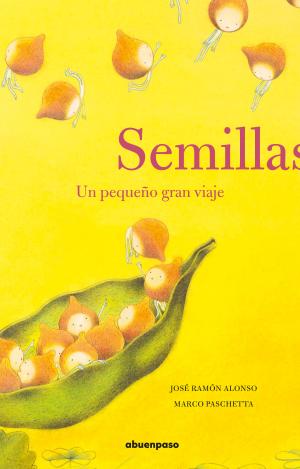 SEMILLAS