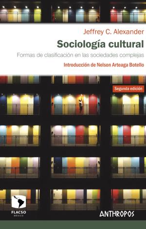 SOCIOLOGIA CULTURAL 2ªED