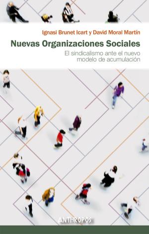 NUEVAS ORGANIZACIONES SOCIALES