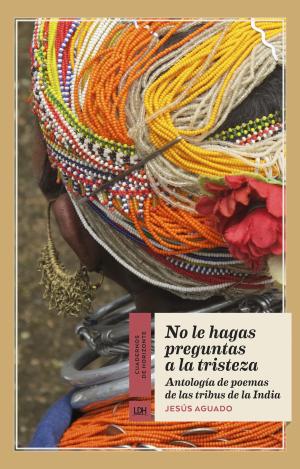 NO LE HAGAS PREGUNTAS A LA TRISTEZA