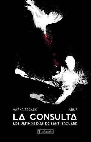 LA CONSULTA