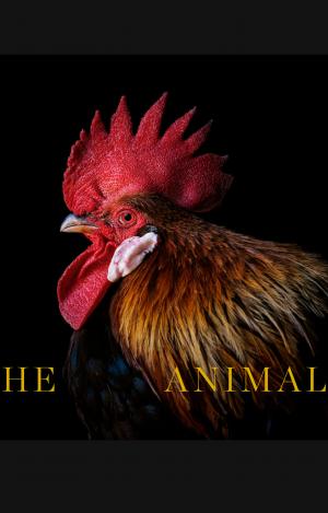THE ANIMALS