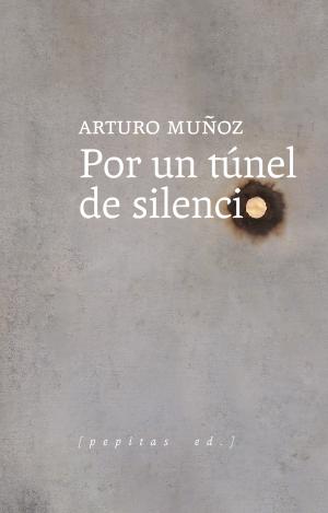 POR UN TÚNEL DE SILENCIO