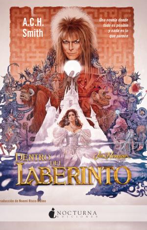DENTRO DEL LABERINTO