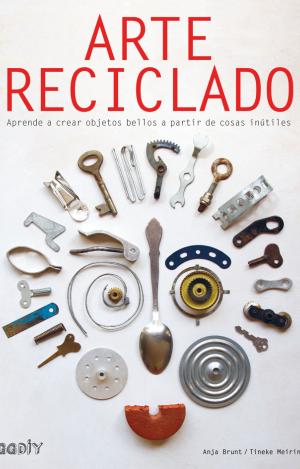 ARTE RECICLADO