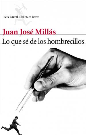 LO QUE SE DE LOS HOMBRECILLOS