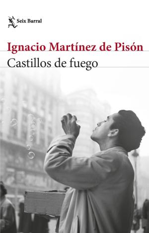 CASTILLOS DE FUEGO