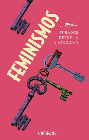 FEMINISMOS: MIRADAS DESDE LA DIVERSIDAD