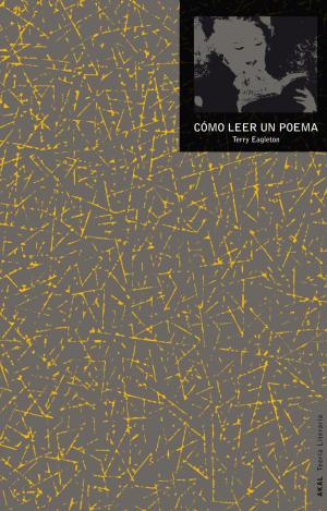 CÓMO LEER UN POEMA