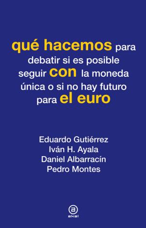 QUÉ HACEMOS CON EL EURO