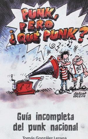 PUNK, PERO ¿QUÉ PUNK?