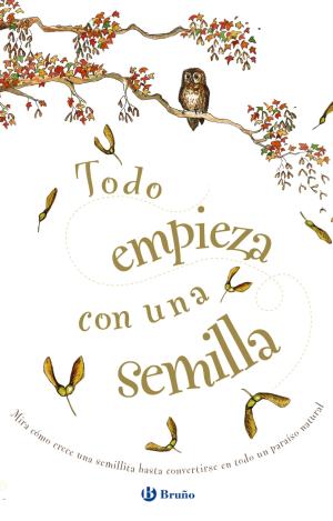TODO EMPIEZA CON UNA SEMILLA