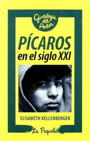PÍCAROS EN EL SIGLO XXI