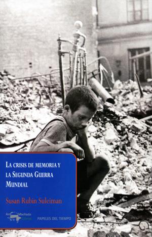 LA CRISIS DE MEMORIA Y LA SEGUNDA GUERRA MUNDIAL