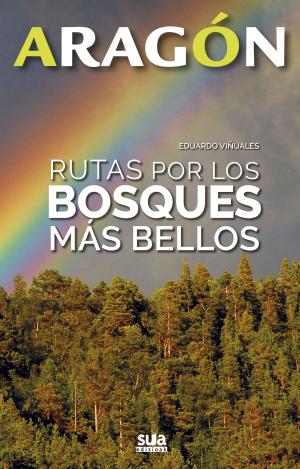 RUTAS POR LOS BOSQUES MAS BELLOS ARAGÓN