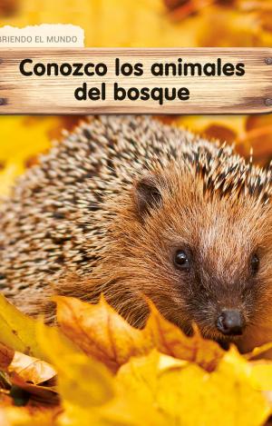APRENDO LOS ANIMALES DEL BOSQUE