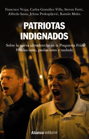 PATRIOTAS INDIGNADOS
