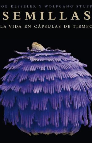 SEMILLAS