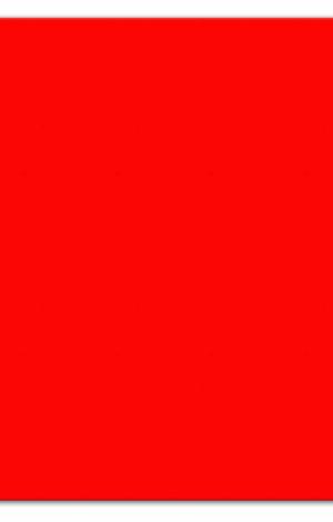 EL LIBRO ROJO