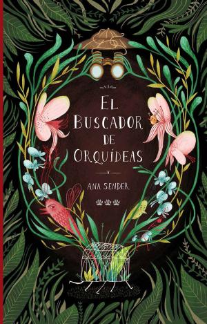 EL BUSCADOR DE ORQUIDEAS