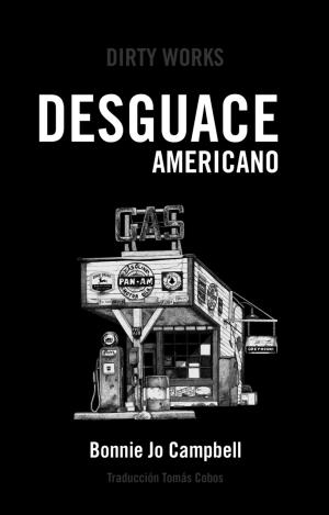 DESGUACE AMERICANO