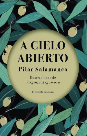 A CIELO ABIERTO
