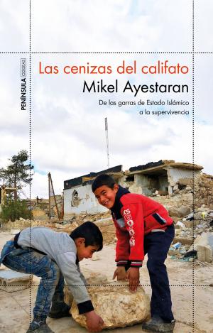 LAS CENIZAS DEL CALIFATO