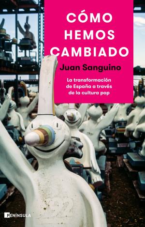 CÓMO HEMOS CAMBIADO